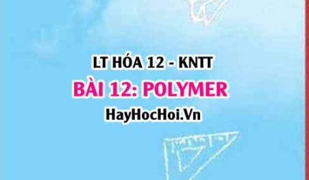 Polymer: Khái niệm, danh pháp, tính chất hóa học, tính chất vật lí Polymer? Phương pháp tổng hợp? Hóa 12 bài 12 KNTT